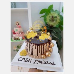 Bánh sinh nhật Đại Gia Socola