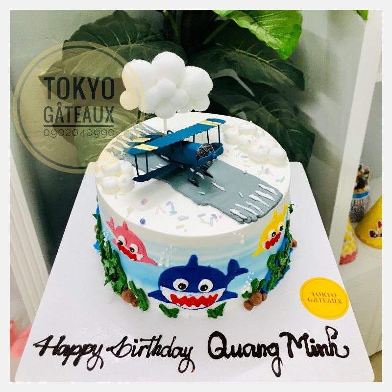Những chiếc Bánh Kem vẽ hình Máy bay ✈ đẹp mắt cho bé trai thích mê Bánh  kem sinh nhật | Đặt bánh online giao tận nơi