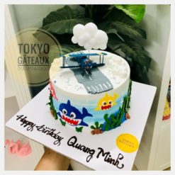 bánh sinh nhật máy bay và cá mập 2