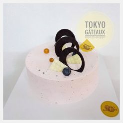 Bánh sinh nhật hiện đại mix socola