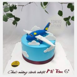 Bánh sinh nhật Máy Bay