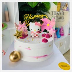 bánh sinh nhật Hello Kityt sz18 - 310