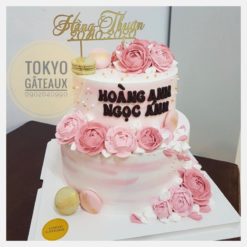 bánh sinh nhật hava 2 tầng 18:24 5lớp - 1050