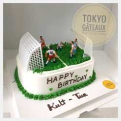 bánh sinh nhật sân bóng sz24 - 490*