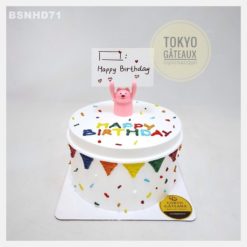 Bánh sinh nhật Rainbow Pig