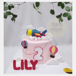 Bánh sinh nhật Mini Airplane