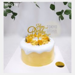 Bánh sinh nhật Drip Mango