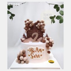 Bánh sinh nhật Ngôi Nhà Bong Bóng