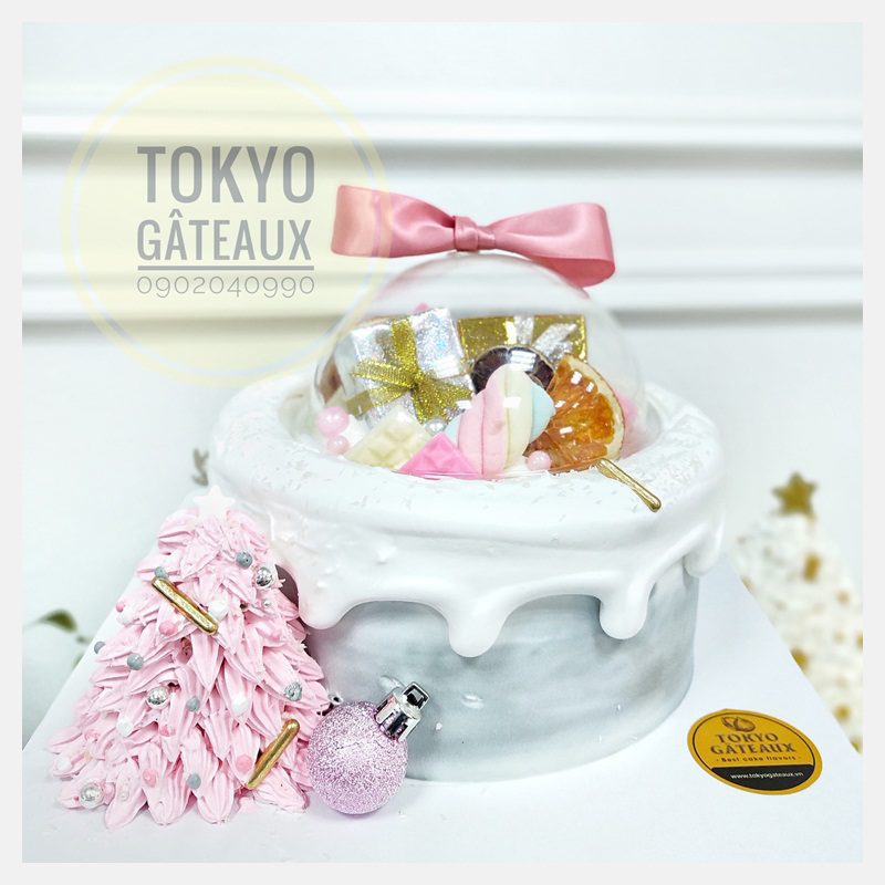 Bánh sinh nhật Hộp quà giáng sinh ngọt ngào