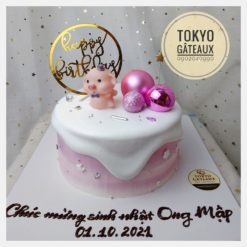 Bánh sinh nhật Heo con kem tan chảy