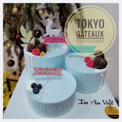 Bánh sinh nhật Merry Christmas