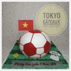 Bánh sinh nhật Tạo hình quả bóng