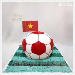 Bánh sinh nhật Bóng Tròn Sân Cỏ