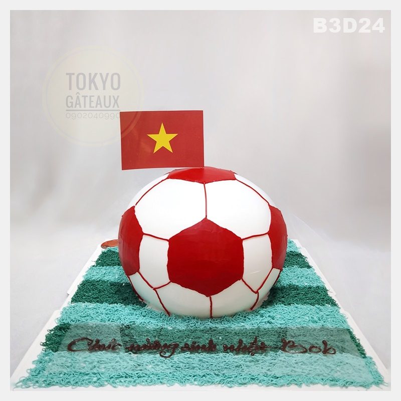 Bánh sinh nhật Bóng Tròn Sân Cỏ
