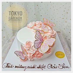 Bánh sinh nhật Cánh bướm vườn hồng