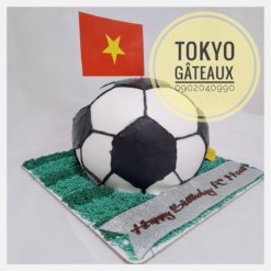 Bánh sinh nhật Bóng tròn sân cỏ