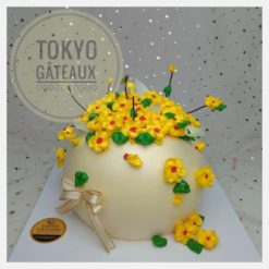 Bánh sinh nhật Hoa mai ngày Tết