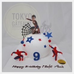 Bánh sinh nhật Người nhện biến hình