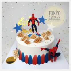 Bánh sinh nhật Bộ đôi người nhện siêu đẳng