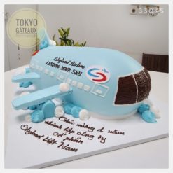 Bánh sinh nhật Tạo hình máy bay