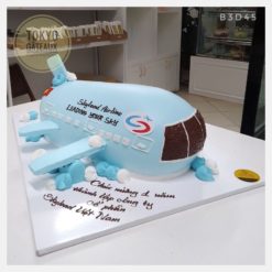 Bánh sinh nhật Tạo hình máy bay
