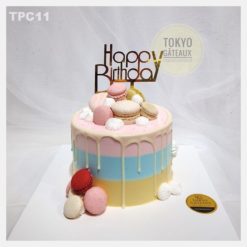 Bánh sinh nhật Mini Macaron