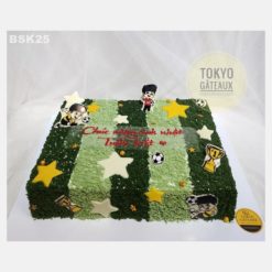 Bánh sinh nhật Sân cỏ năng động