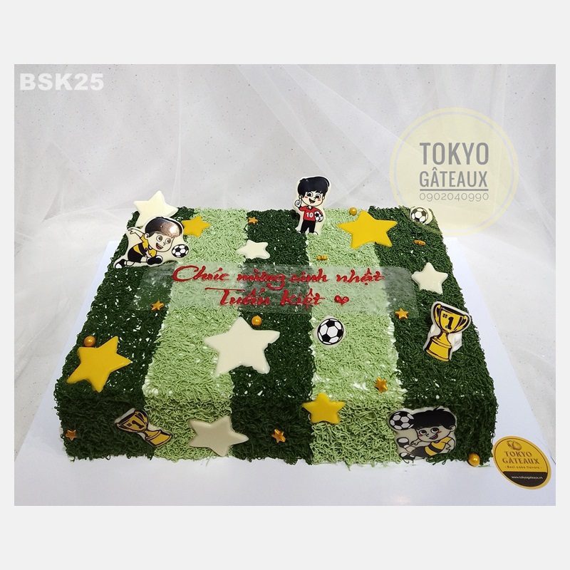 Bánh sinh nhật Sân cỏ năng động