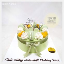Bánh sinh nhật Macaron xoài tươi