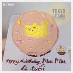 Bánh sinh nhật Sleepy kitten