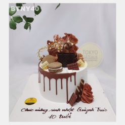 Bánh sinh nhật Drip Cake Macaron