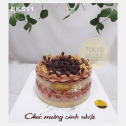 Bánh sinh nhật Chocolate Strawberry