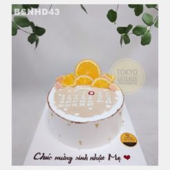 Bánh sinh nhật Cuốn Lịch Cam