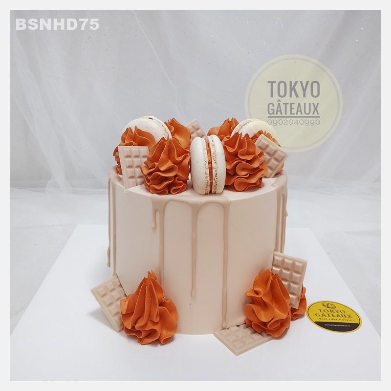 Bánh sinh nhật Macaron mùa hè