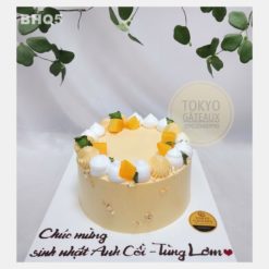 Bánh sinh nhật Mix Xoài Tươi