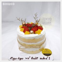 Bánh sinh nhật Strawberry & Mango