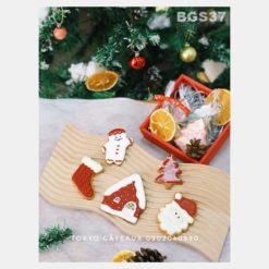 Set Icing Cookies Warmie