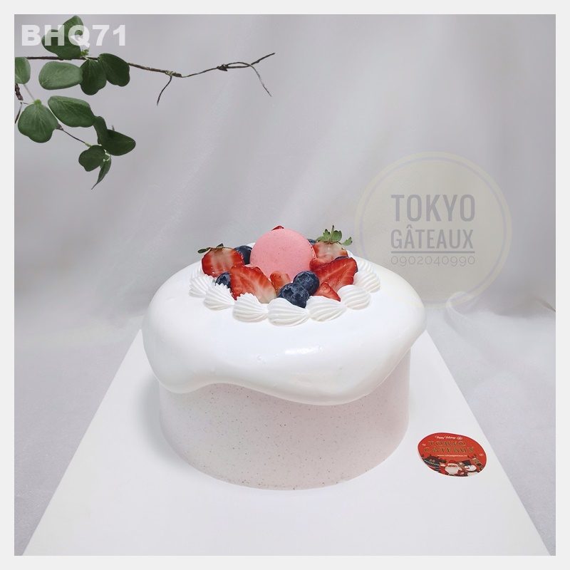 Bánh sinh nhật Macaron Việt Quất