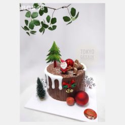 Bánh sinh nhật Christmas Drip Cake