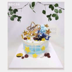 Bánh sinh nhật Among The Stars