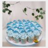 Set Cupcake Dolphins