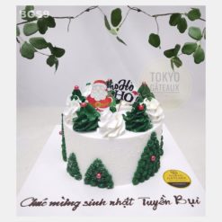 Bánh sinh nhật Noel Kem Tươi