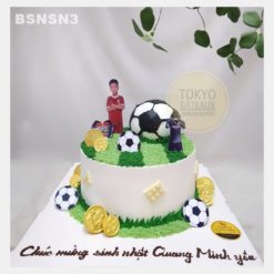 Bánh sinh nhật Sân Cỏ