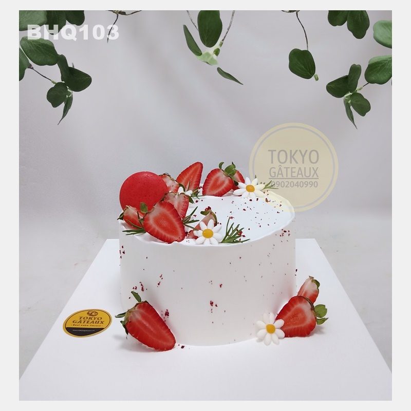 Bánh sinh nhật Macaron Dâu