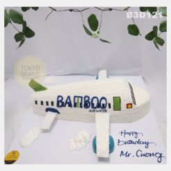Bánh sinh nhật Tạo Hình Máy Bay