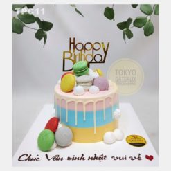 Bánh sinh nhật Mini Macaron