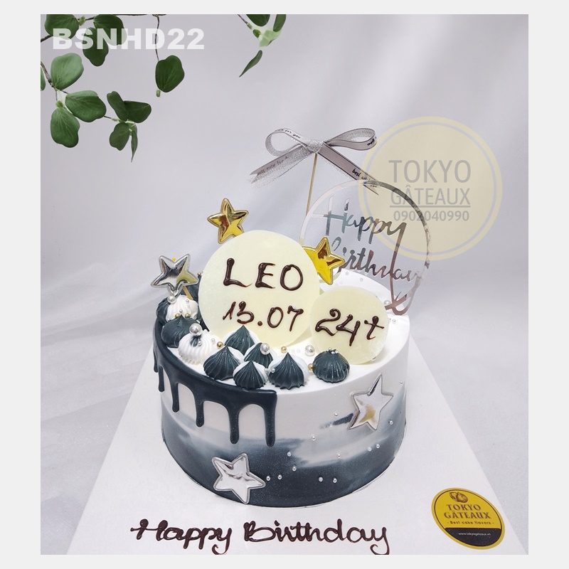 Bánh sinh nhật Hiện Đại
