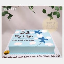 Bánh sinh nhật Fly High