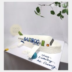 Bánh sinh nhật Tạo Hình Máy Bay