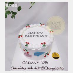 Bánh sinh nhật Colorful Cherry